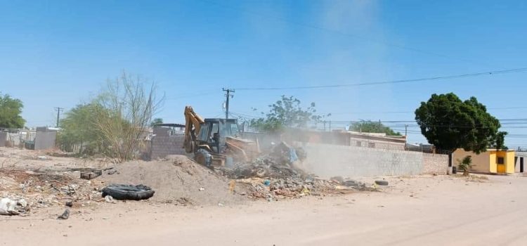 Continúa Desarrollo Urbano con limpia de predios abandonados