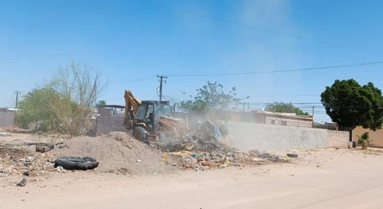 Continúa Desarrollo Urbano con limpia de predios abandonados