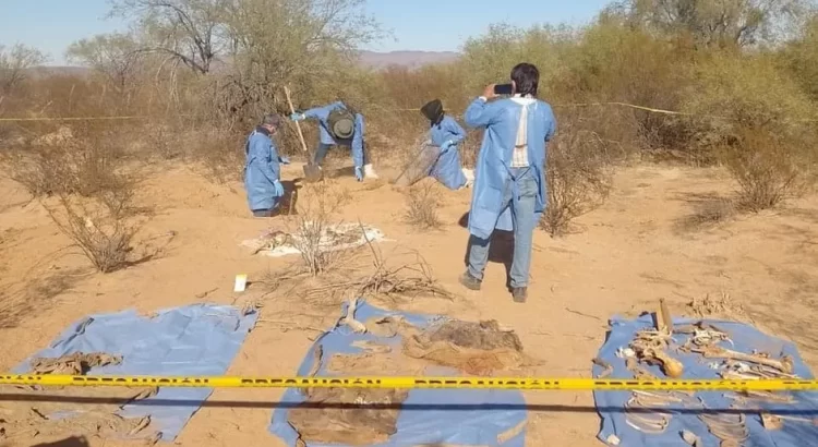 Madres buscadoras encuentran fosa con al menos 18 cuerpos en Sonora