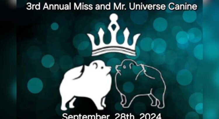 El último ladrido de la moda: Todo listo para el Miss y Mr. Universo Canino 2024