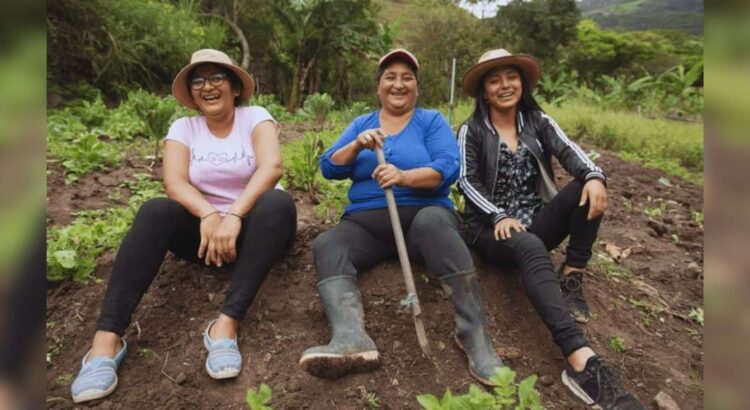 Aumenta participación de mujeres en el campo sonorense