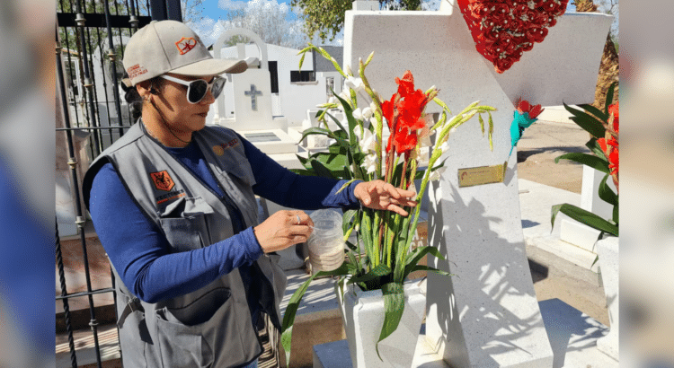 Más casos de dengue en Sonora