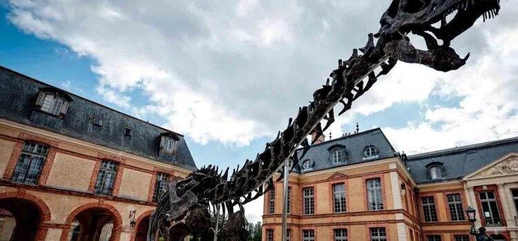 Esqueleto de dinosaurio es subastado en 6 millones de dólares