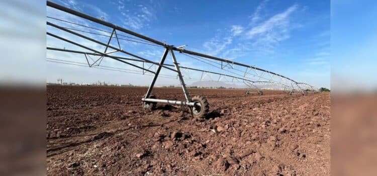 Afectaciones por sequía en el Sur de Sonora superarán proyecciones iniciales, aseguran