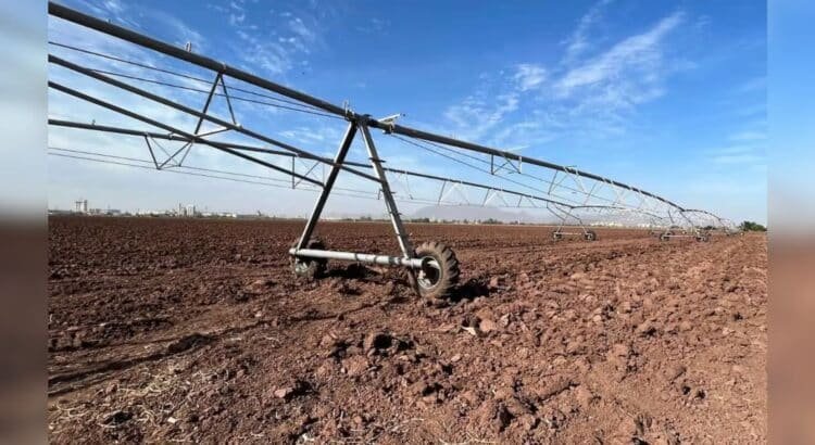 Afectaciones por sequía en el Sur de Sonora superarán proyecciones iniciales, aseguran