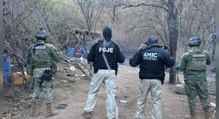 Aseguran narcolaboratorio en Álamos, al sur de Sonora