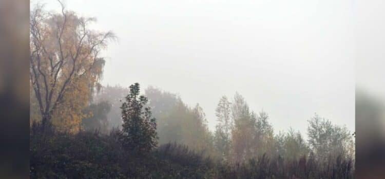 Estos municipios podrían registrar hasta -12ºC este fin de semana