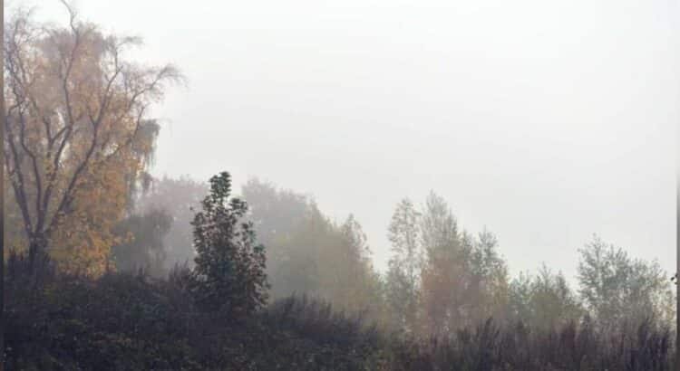 Estos municipios podrían registrar hasta -12ºC este fin de semana