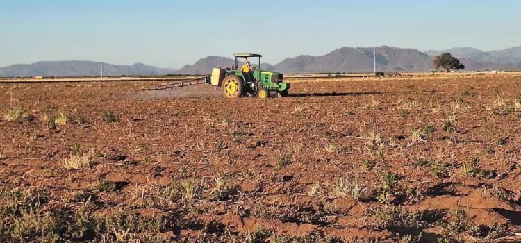 Crisis por sequía seguirá impactando en 2025: Productores