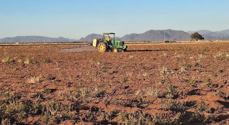 Crisis por sequía seguirá impactando en 2025: Productores