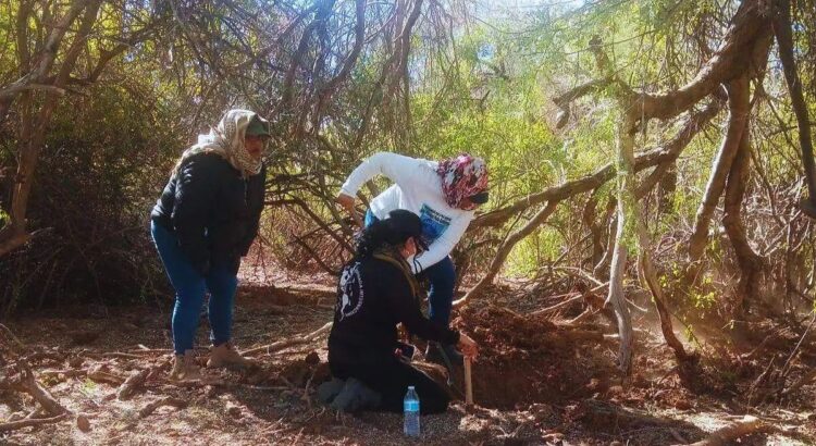 Suman 40 osamentas encontradas en cementerio clandestino de Hermosillo