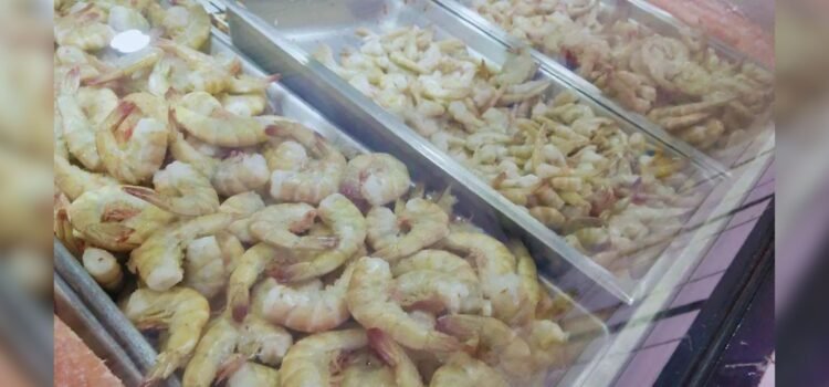 Sonora se ubica como el mayor estado en producción de camarón Sonora se ubica como el mayor estado en producción de camarón