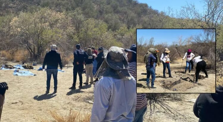 Madres Buscadoras de Sonora hallan fosa clandestina