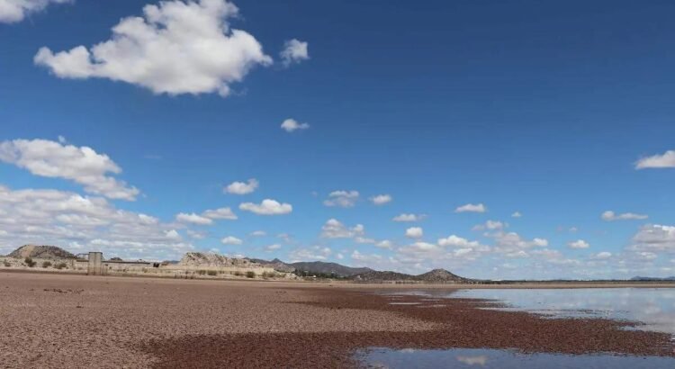 Buscan contrarrestar los efectos de la sequía en Sonora en sectores primarios
