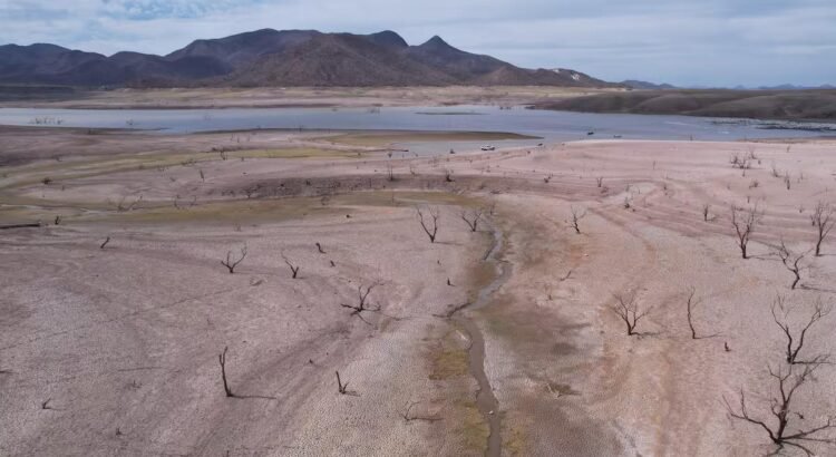 Generan preocupación presas del Sur de Sonora al 1% de su capacidad