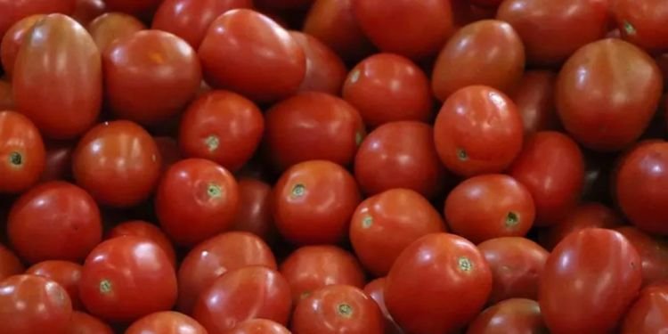Estados Unidos impone nuevos aranceles al tomate mexicano
