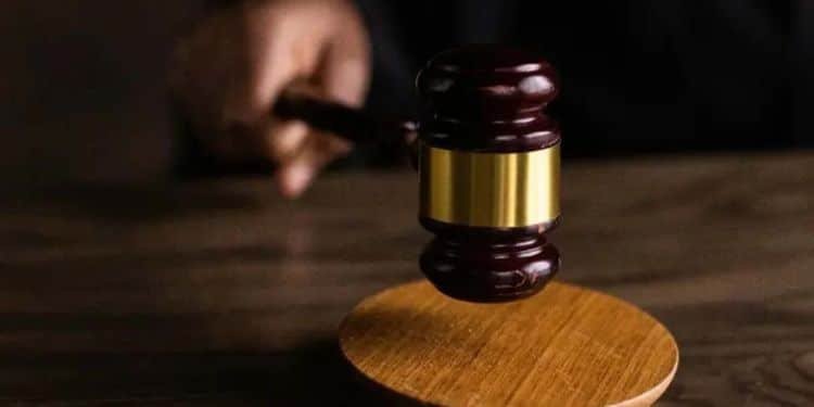 Más de 136 mil personas buscan ser observadores en las elecciones judiciales