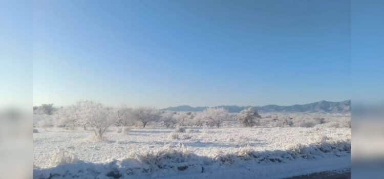 Caída de nieve sorprende a Sonora