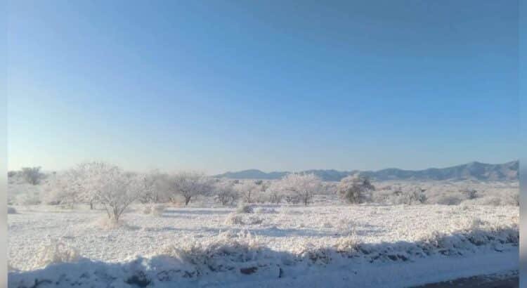 Caída de nieve sorprende a Sonora