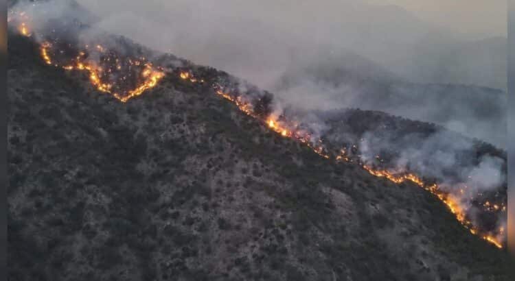 Incendios forestales en Sonora: 11 siniestros, principalmente en el sur del estado