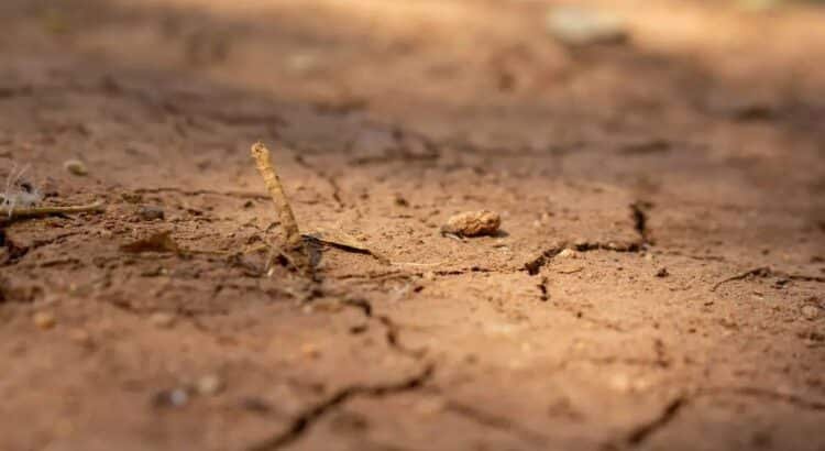 Sonora enfrenta mayo con niveles de sequía excepcional
