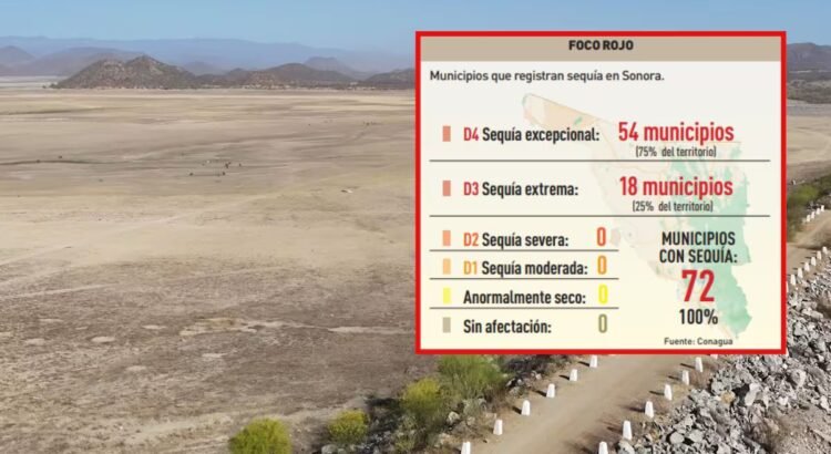 Reportan 75% de municipios de Sonora con nivel más grave de sequía