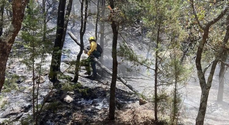 Continuan activos tres incendios forestales en Sonora