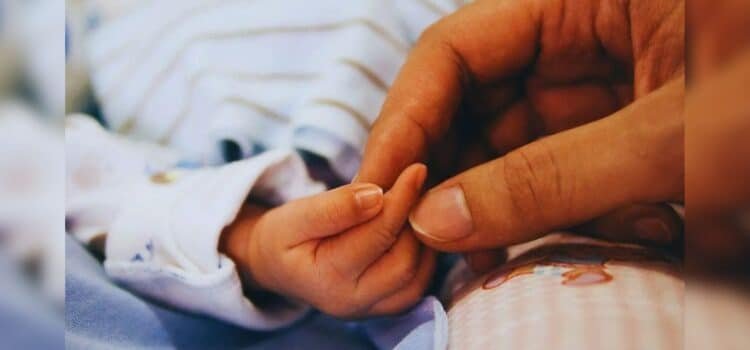 Se triplican los nacimientos en Sonora en los últimos años Se triplican los nacimientos en Sonora en los últimos años