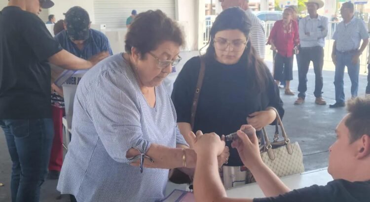 Ni el 10% del padrón participó en la elección judicial en Sonora