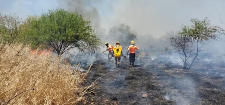 Sonora registra menos incendios forestales en 2025 que en años anteriores