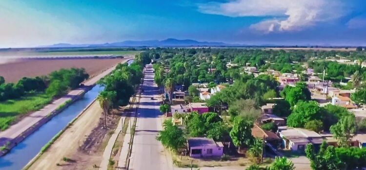 Restaurarán 12 sitios naturales en Sonora: conoce las áreas y el impacto ambiental
