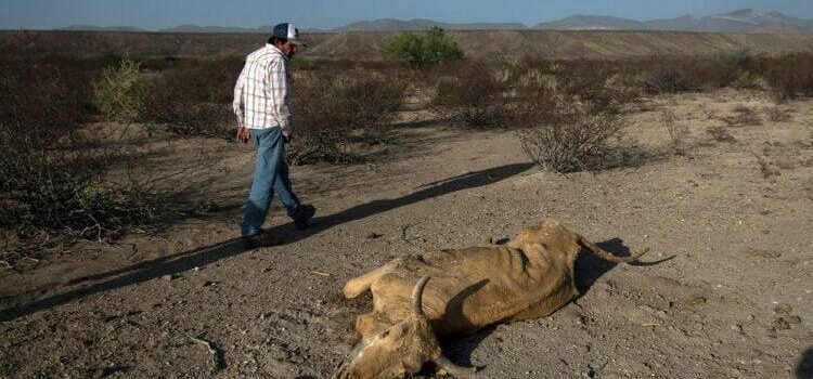 Sonora, el estado más seco del país