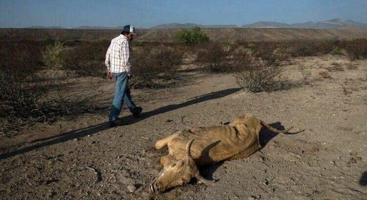 Sonora, el estado más seco del país