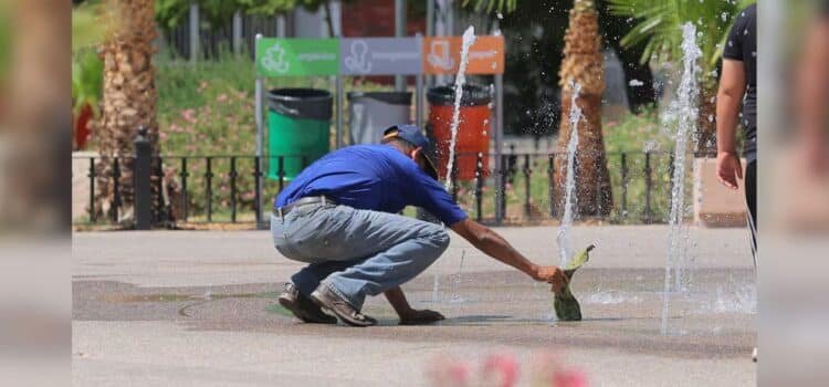Sonora, tercer estado con más muertes por calor en lo que va del 2025 Sonora, tercer estado con más muertes por calor en lo que va del 2025