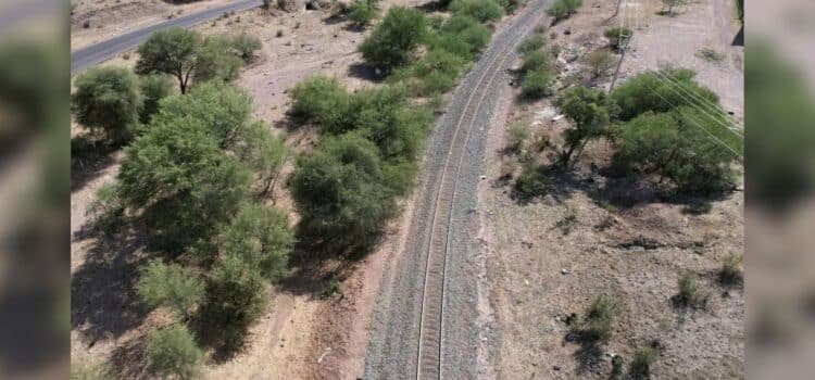 Niños encuentran restos óseos en Sonora