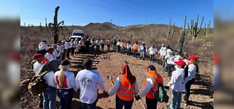 Colectivos encuentran 18 cuerpos en 5 días Colectivos encuentran 18 cuerpos en 5 días