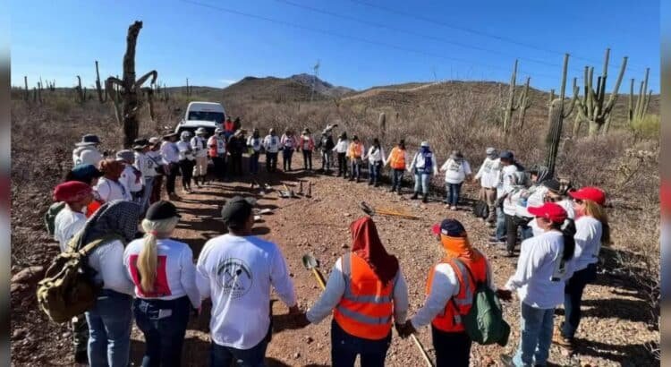 Colectivos encuentran 18 cuerpos en 5 días