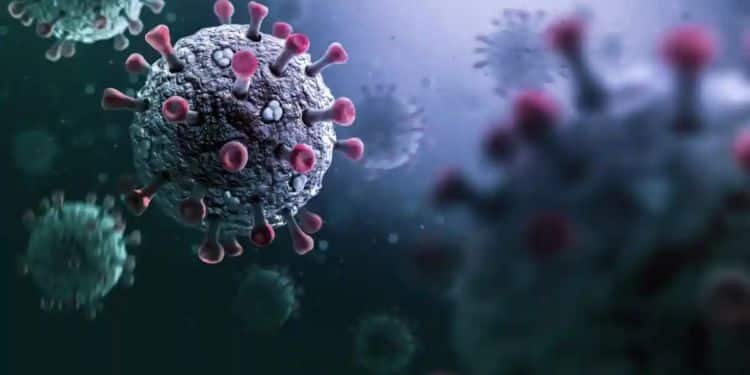 Emite la OMS alerta por virus Stratus