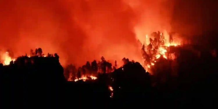 Crisis climática, “una amenaza urgente y existencial”: CIJ