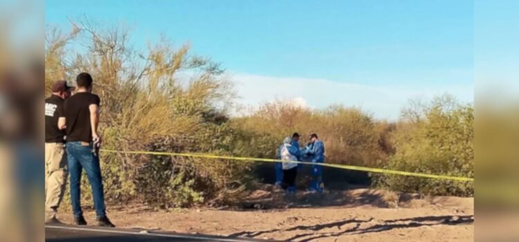 Buscadoras por La Paz Sonora localizan osamentas en Pitiquito