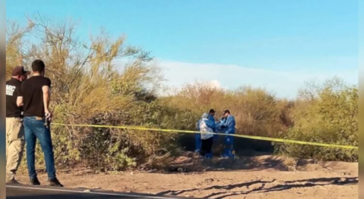 Buscadoras por La Paz Sonora localizan osamentas en Pitiquito
