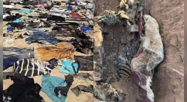 Localizan más de 40 prendas y restos óseos en zona rural de Sonora; era ocupado por un grupo armado