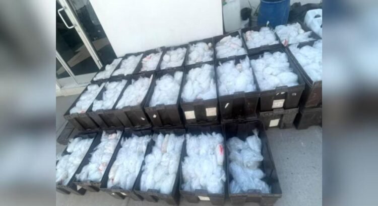 Cae transportista con más de 1.5 toneladas de metanfetamina en Sonora