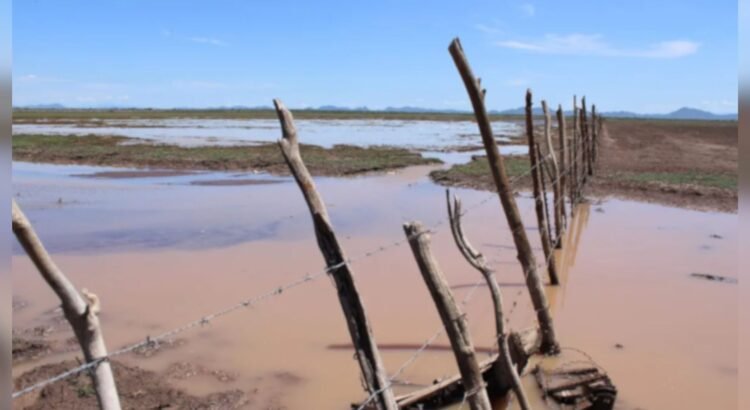 Se mantienen afectaciones por sequía en 63 municipios de Sonora