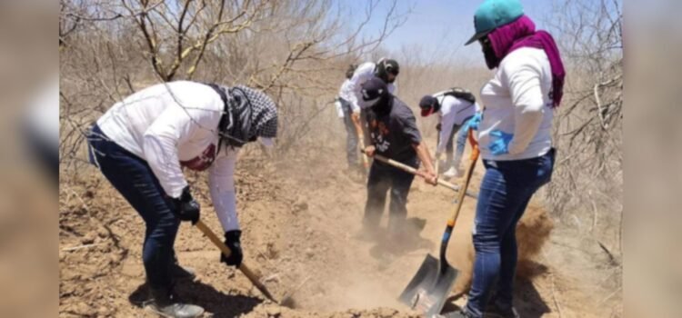 Desaparecidos en Sonora: Realizan cerca de 600 jornadas de búsqueda en 2025 Desaparecidos en Sonora: Realizan cerca de 600 jornadas de búsqueda en 2025