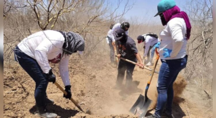 Desaparecidos en Sonora: Realizan cerca de 600 jornadas de búsqueda en 2025