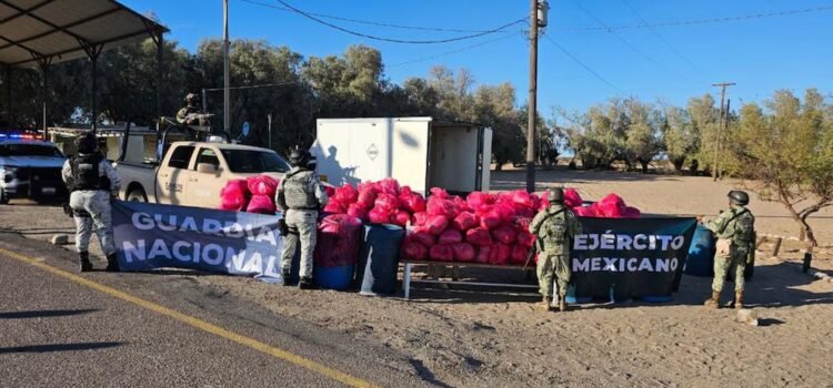 Caen dos sujetos con casi 300 millones de pesos en metanfetamina en bolsas de “residuos peligrosos” en Sonora